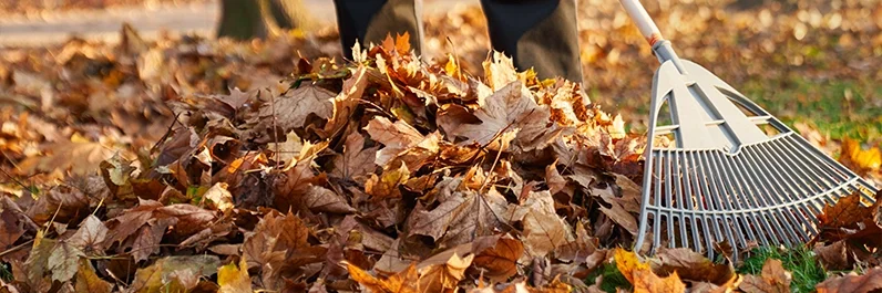 denver_fall_pumbing_winterization.webp
