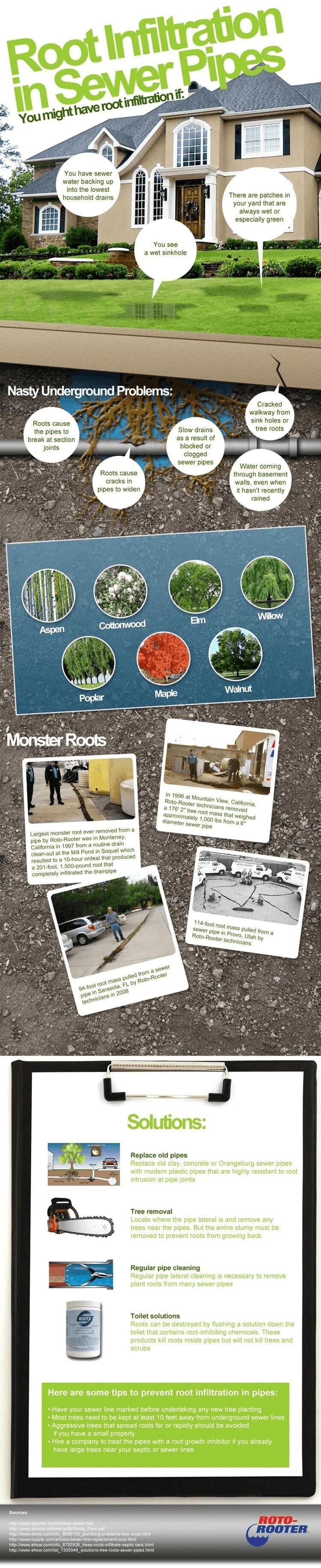 monster roots