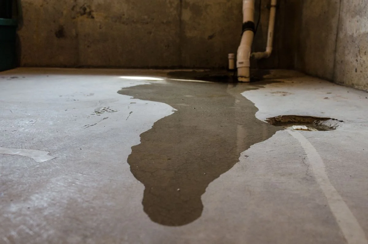 Backed up water pooling on ground in basement next to sump pit