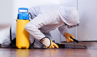 Rr-25-mold-remidiation-flexi-banner-1-341x202.png