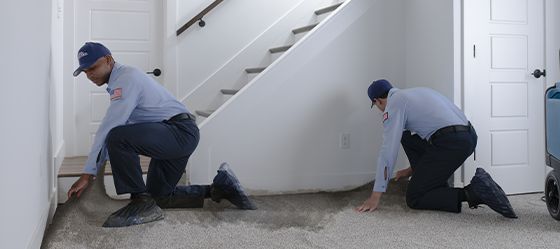 Rr-25-mold-remidiation-hero-banner-560x249.png